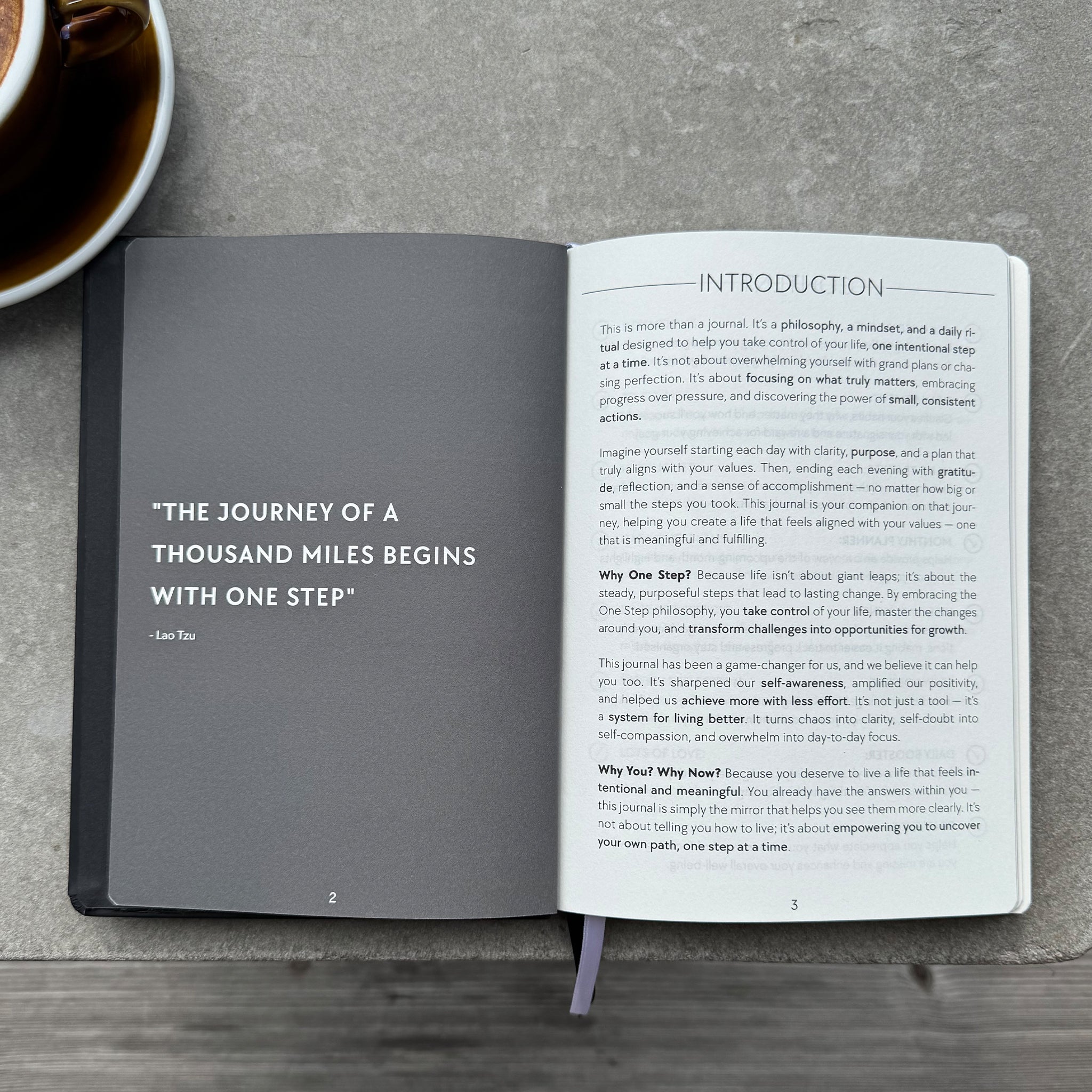 The One Step Journal